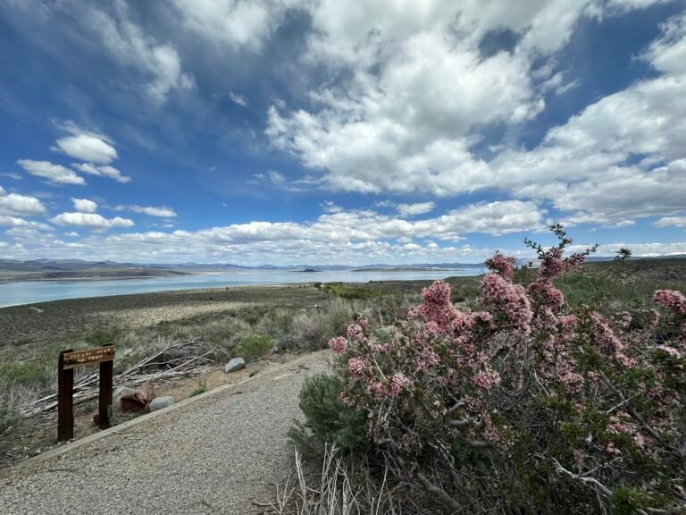 May 2025 Road trip: Sacramento to Las Vegas, Day 1